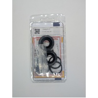 AP Racing seal kit - CP4525-CC (HSV VY-VZ Rear Caliper)