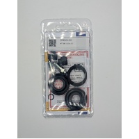 AP Racing seal kit - CP4525-DD (HSV VY-VZ Rear Caliper)