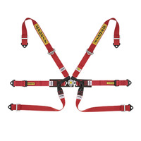 Sabelt 6-Point Harness Formula (Pull Down)