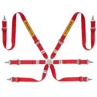 Sabelt 6-Point Harness – 2-Shoulder / Lap Belts – Steel Series
