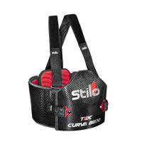 Stilo Carbon Curva Rib Protector - FIA8870