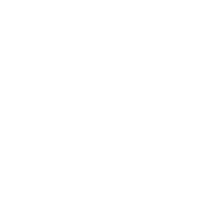 Hawk