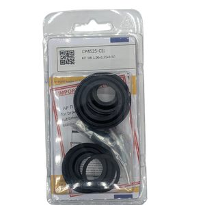 AP Racing seal kit - CP4525-CEJ (HSV VY-VZ Front 6-Piston Caliper)